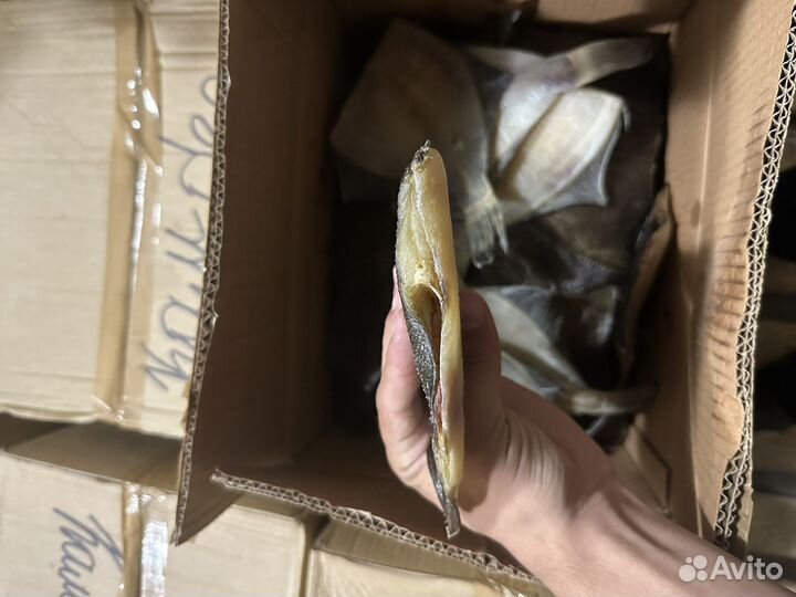 Камбала вяленая оптом