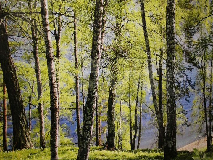 Участок 47 сот. (ИЖС)