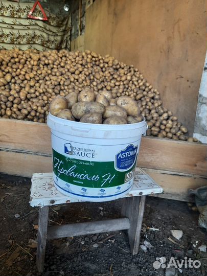 Продам картофель