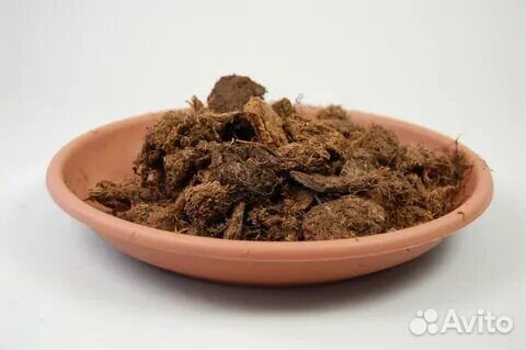 Торфогрунт