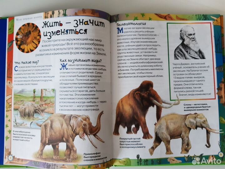 Моя первая книга о динозаврах