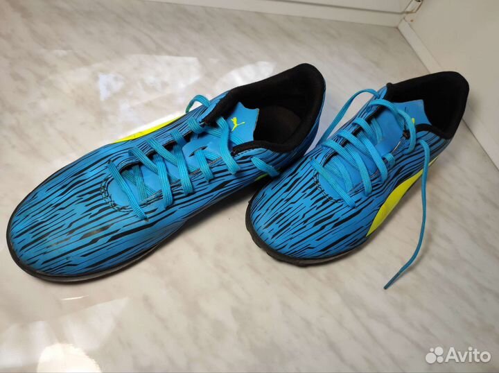 Сороконожки puma