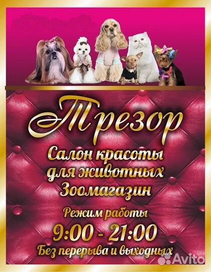 Администратор салона для животных