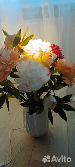 Интерьерные цветы