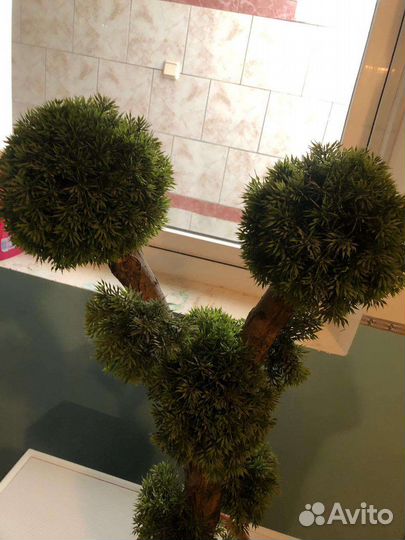 Бонсай декоративный