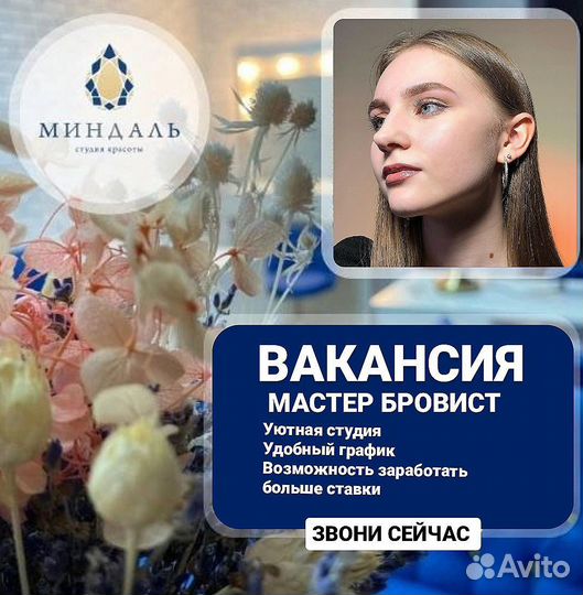 Мастер-бровист