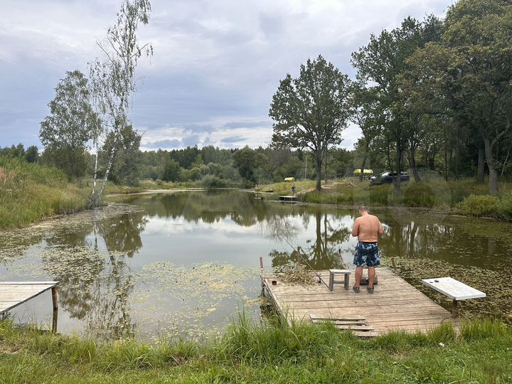 Участок 1,3 га (СНТ, ДНП)