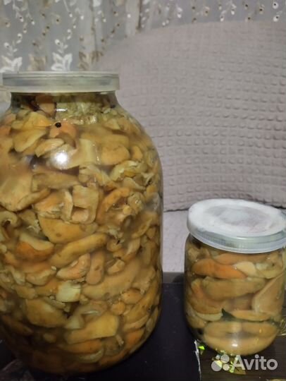 Грибы рыжики соленые и белые сухие сбор 2023 г