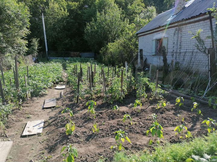 Участок 6 сот. (СНТ, ДНП)