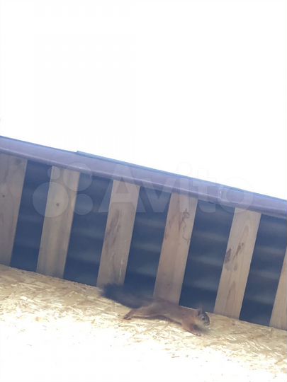 Дача 78 м² на участке 8 сот.