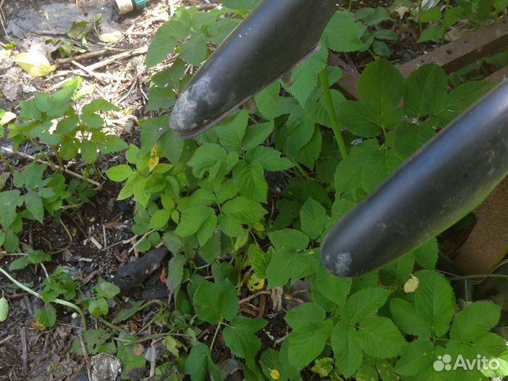 Рейлинги Opel Omega B универсал