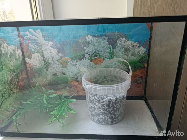 Аквариум