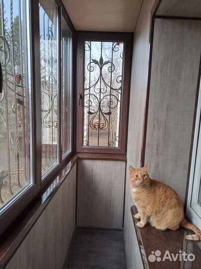 Решетка кованая на окна