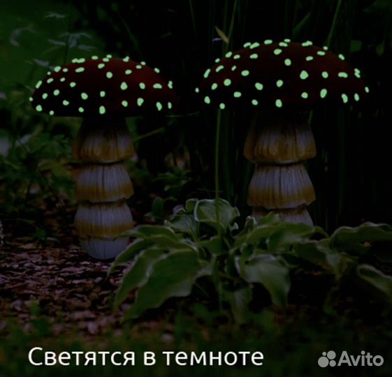 Светящийся гриб