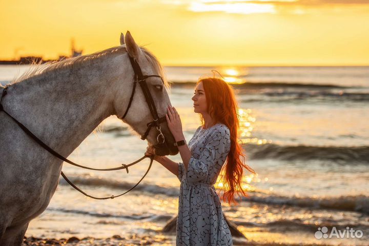 Фотосессии с лошадьми Зеленоградск, Куршская коса