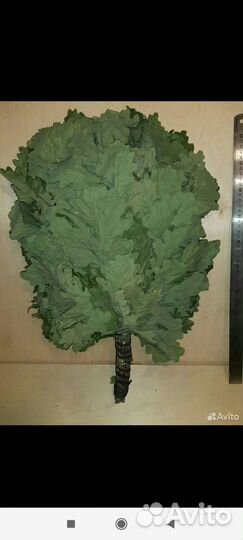 Дубовые веники для бани