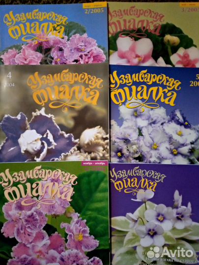 Про фиалки и другие