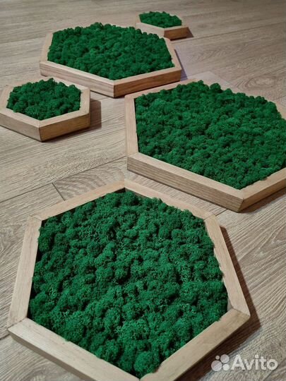 Зелёные картины, панно из мха