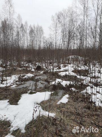 Фото объявления