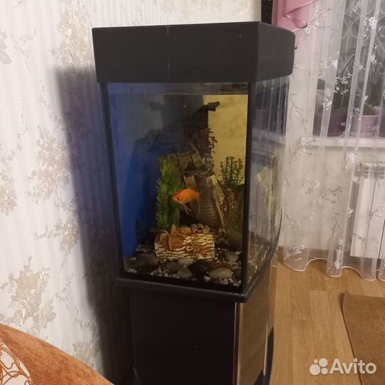 Аквариум с тумбой 240л