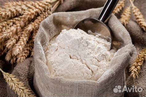 Грузчик ежедневная оплата