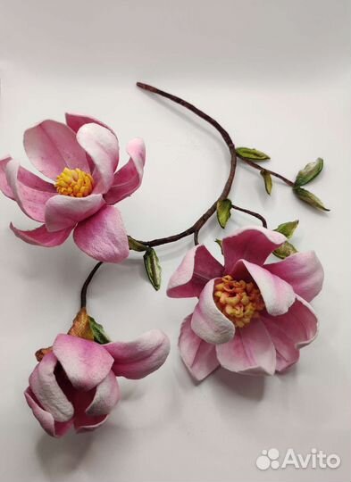 Магнолии интерьерные