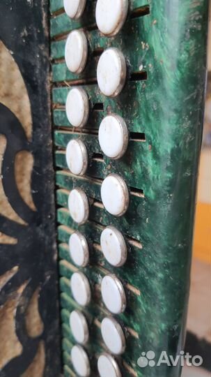 Гармошка зеленая СССР Тульская 301