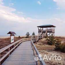 Экскурсия на Куршскую косу (экосбор включён)