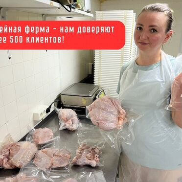 Курица домашняя бройлер. Куры деревенские