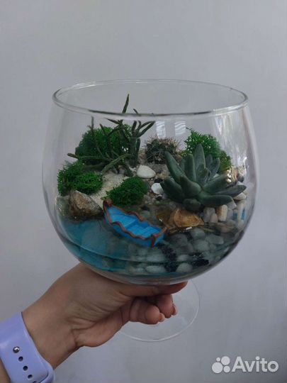 Флорариум суккуленты, кактусы. Подарок