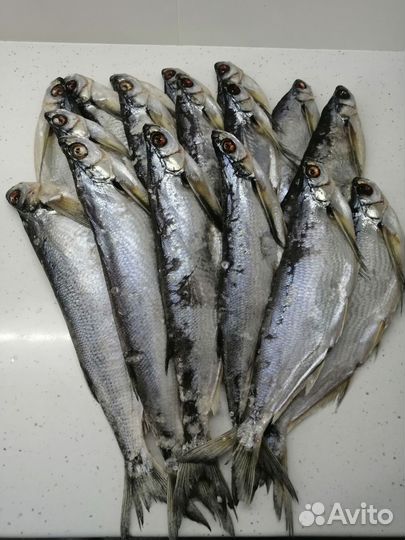 Вяленая чехонь