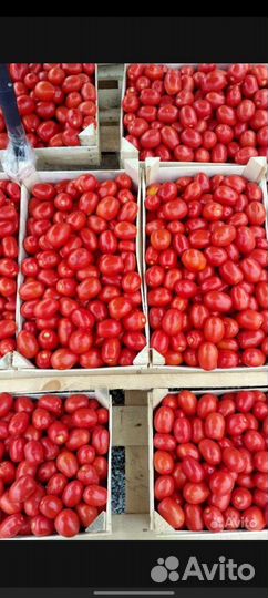 Овощи фрукты с доставкой