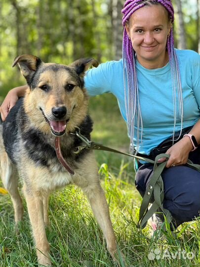 Самая лучшая собака на свете