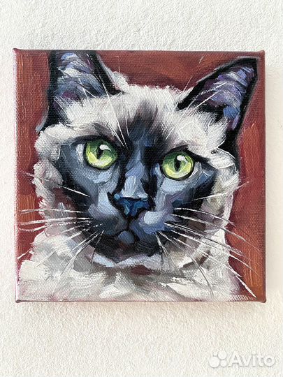 Картина котик кот кошка