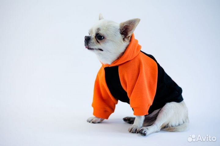 Худи, свитшоты для маленьких собак