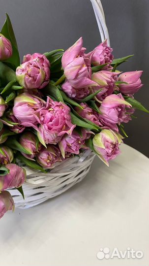 Тюльпаны пионовидные