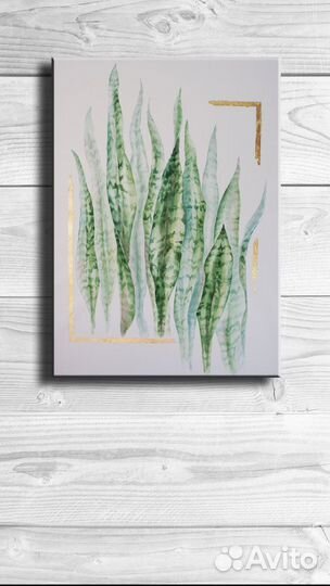 Сансевиерия. Акварельная интерьерная картина