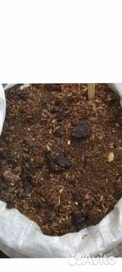 Конский навоз (перегной)