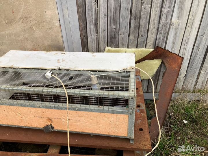 Брудер для цыплят