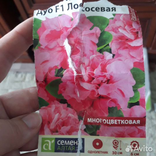 Петунья 6 см двойной цветок (как Гибискус)