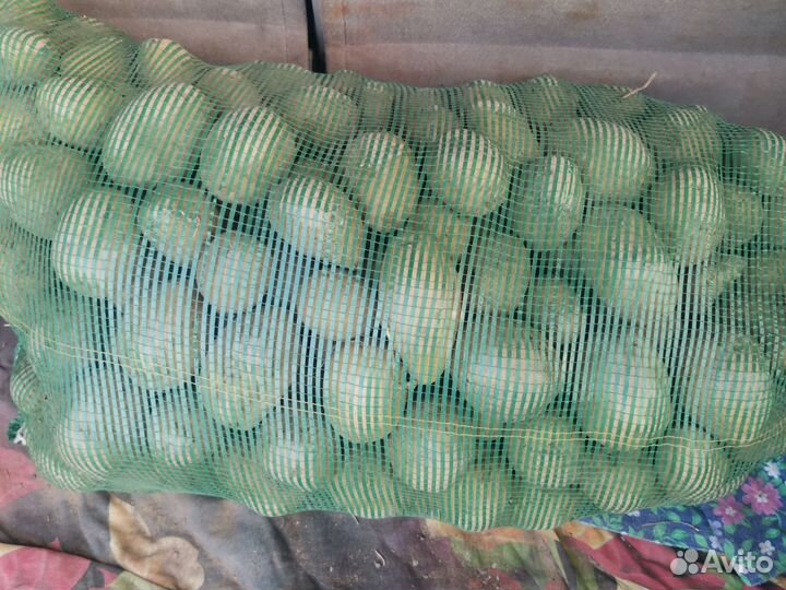 Продам картофель с доставкой