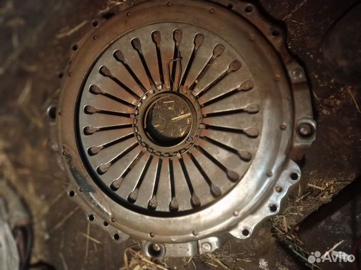 Корзина sacsh