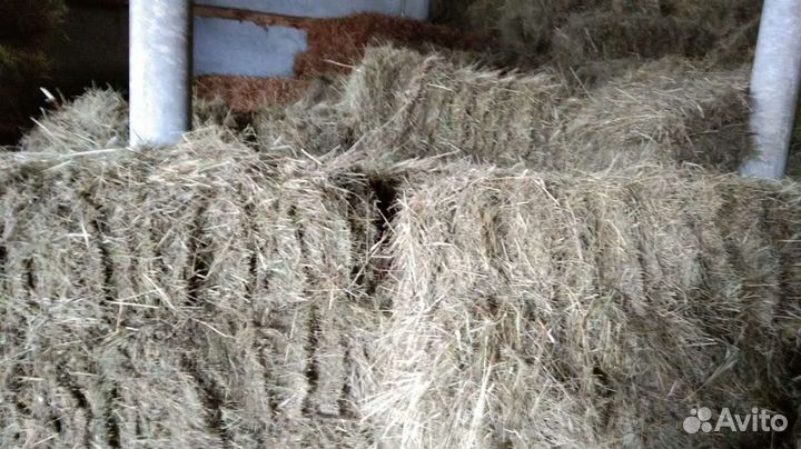 Сено в тюках