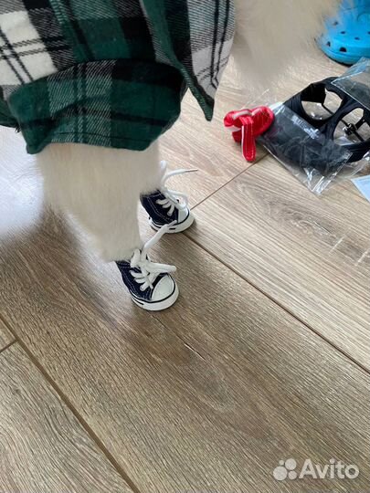 Кеды для собак