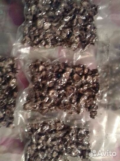 Корень Лопуха