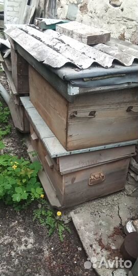 Улья лежаки