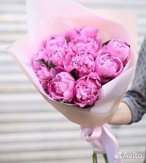 Пионы Букеты Цветы Доставка