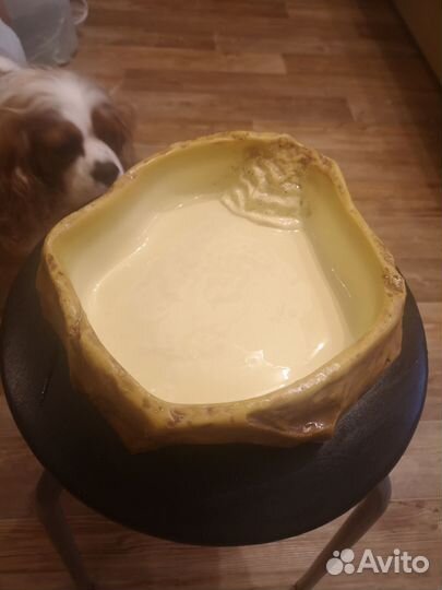 Поилка для рептилий