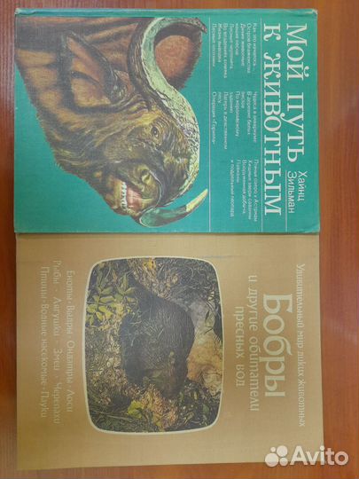 Удивительный мир диких животных