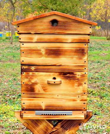 Купить пчёл Карпатка, пчелопакет, улей 